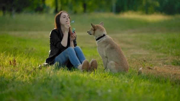 Una chica sopla burbujas de jabón en el parque a su perro . — Vídeos de Stock