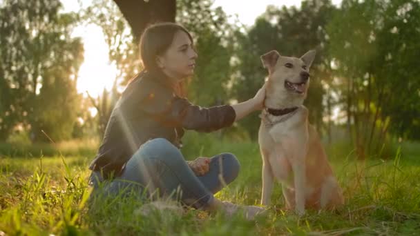 Tierna relación linda entre la amante femenina y su perro de raza . — Vídeos de Stock