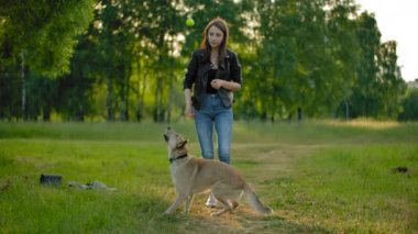 Güzel bir kız topu havaya fırlatıyor. Köpeği topu yakalamak için zıplıyor..