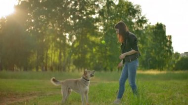 Değerli bir kız köpeğine tenis topu atıyor..