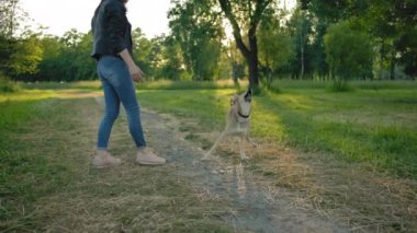 Kadın kırma köpeğine oyuncak top atıyor..