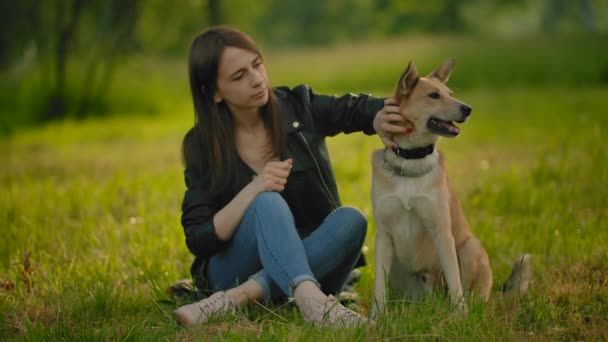 Hündin streichelt im Park ihren Mischlingshund im Halsband. — Stockvideo