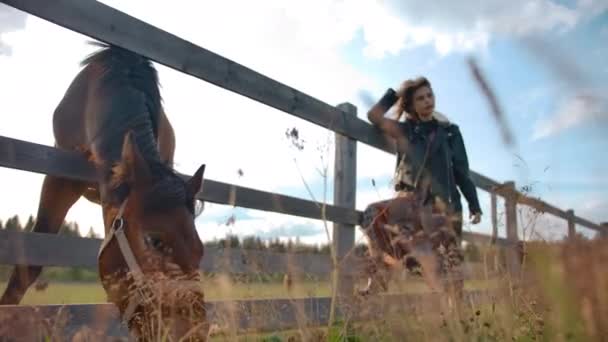 Dromerige vrouw leunend op paard behuizing — Stockvideo