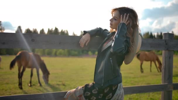 Elegantní samice odpočívající poblíž pasoucích se koní na farmě — Stock video