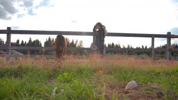 牧场里的妇女和马匹 — 图库视频影像