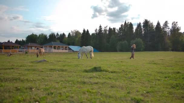 Vrouw en paarden in paddock — Stockvideo