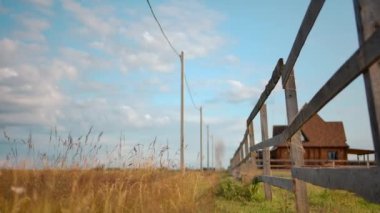 Atlar çitin arkasında otluyor.