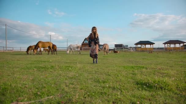 Stylish woman walking in horse paddock — Stockvideo