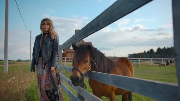 Elegantní žena kráčí blízko zvědavého koně — Stock video