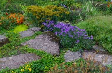 Yaz bahçe güzel manzara. Riga'da renkli çiçekler dekoratif bileşimi. Letonya