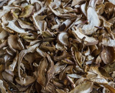 Boletus mantar piyasada Satılık kurutulmuş