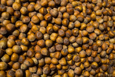 Piyasada büyük bir kutu kahverengi fındık