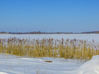 Sonsuz expanses 2018 Kış karla kaplı Latgale
