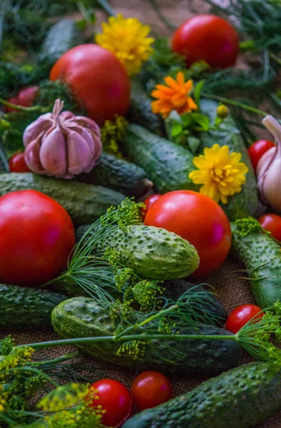 Tomates Frescos Pepinos Ajo Junto Con Flores Eneldo Caléndula Sobre —  Fotos de Stock