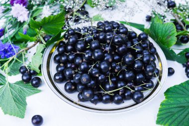 Bir plaka üzerinde bir tablo Peygamber birlikte Siyah frenk üzümü taze meyveler. Bir diyet ve doygunluk vitaminler ile için