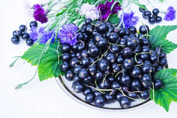 Plody Černého Rybízu Talíř Stůl Pro Dietu Rostoucím Obsahem Vitaminů — Stock fotografie