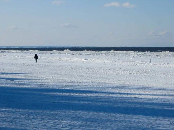 Endless expanses on a snow-covered beach in Jurmala, on the shore of the Gulf of Riga, in winter 2018.Latvia