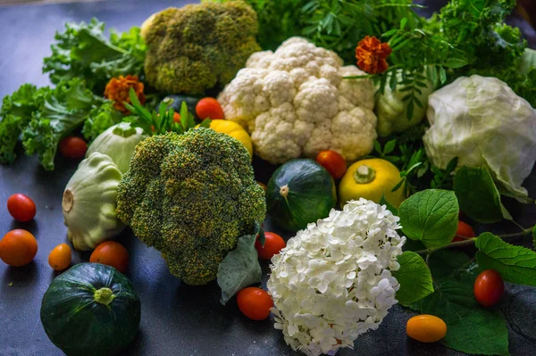 Beautiful picture of vegetables. squash, cauliflower, cherry tomatoes and broccoli .Natural texture of vegetables