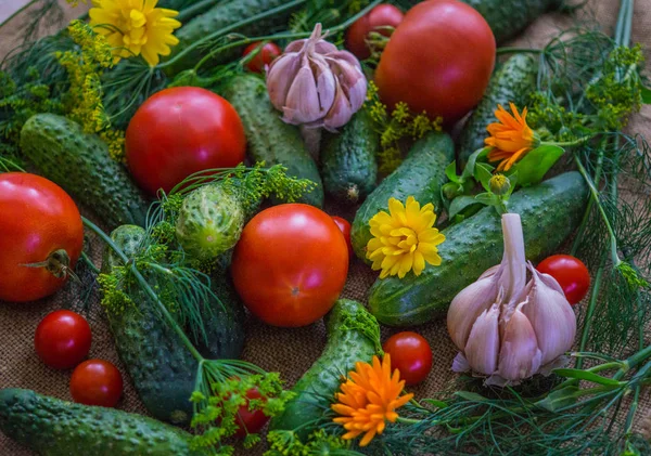 Frische Tomaten Gurken Und Knoblauch Zusammen Mit Dill Und Ringelblumen — Stockfoto