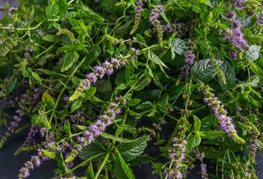 Çiçekler karanlık bir arka plan ile taze nane