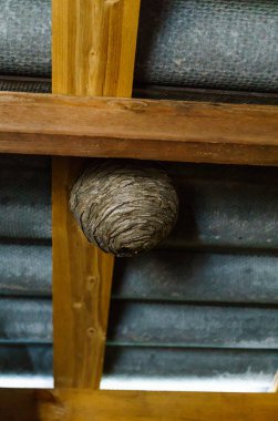 Arıların iç içe, ahırda çatısı altında bükülmüş.