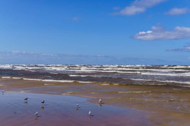 Riga Körfezi kıyısında rüzgarlı bir günde. Jurmala, Letonya-Ağustos 2017.