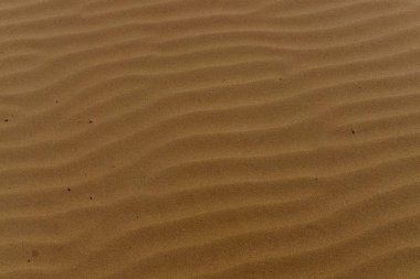 Sonra dalgalar kumsalda çizim