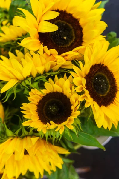Beautiful decorative sunflowers used for making bouquets.