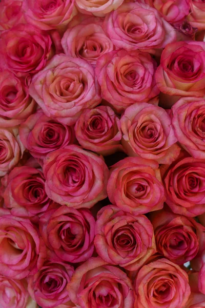 一臂粉红色, 新鲜的玫瑰在花束. — 图库照片