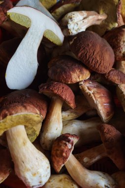 Tahta zeminin üzerinde mantar mantarı var. Autumn Cep Mantarları. Lezzetli organik mantar pişiriyorum. Gurme yemekleri..