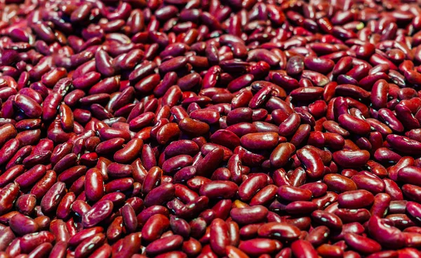 Seeds of red beans. Protein plant food. A healthy diet. — Stock Photo, Image