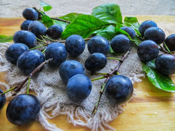 Fresh, dark blue plums scattered on the table.