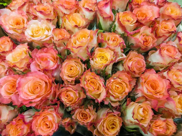 A bouquet of fresh beautiful orange roses in a vase. — Stock Photo, Image