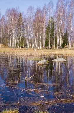 İki büyük kayalar ile ormanda güzel göl.