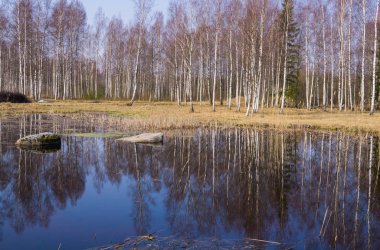 İki büyük kayalar ile ormanda güzel göl.