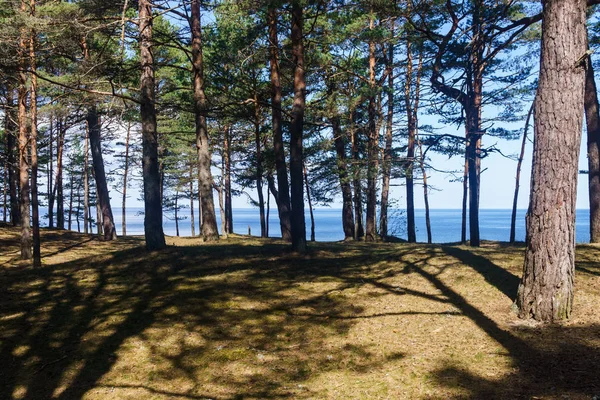 Prachtig uitzicht op de Golf van Riga in het vroege voorjaar. De zee is kalm. Kustduinen. — Stockfoto