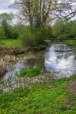 Sazlı su ile eski nehir yatağı.