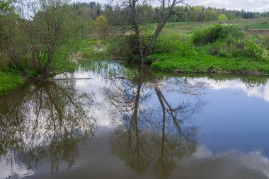 Sazlı su ile eski nehir yatağı.