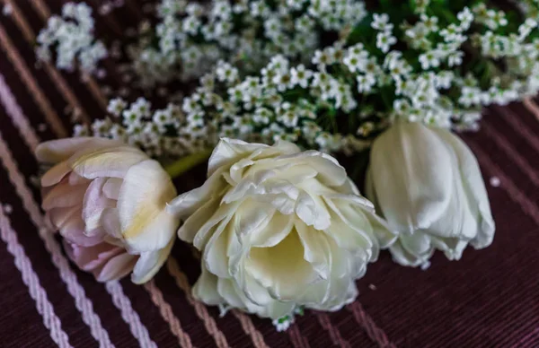 Stále ještě život měkkých růžových tulipány s větvičky. — Stock fotografie