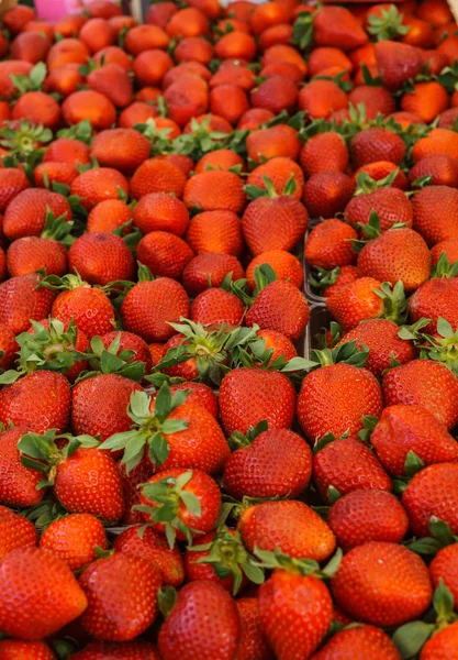 Fresas frescas y fragantes en bandejas en el mercado de agricultores . — Foto de Stock
