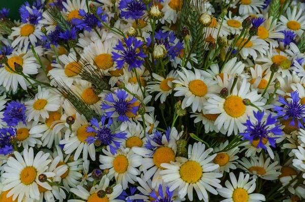 Een boeket van veld korenbloemen en madeliefjes op de tafel in een vaas. — Stockfoto