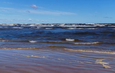 Rüzgarlı bir yaz gününde Dalgalar, Riga Körfezi kıyısında.