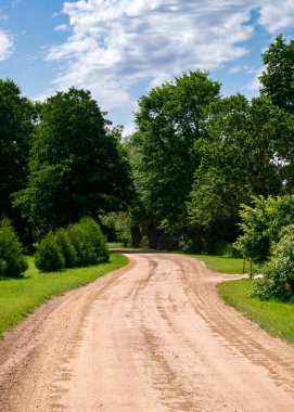 Yeşil ağaçlarla çevrili asfaltsız kırsal yol.