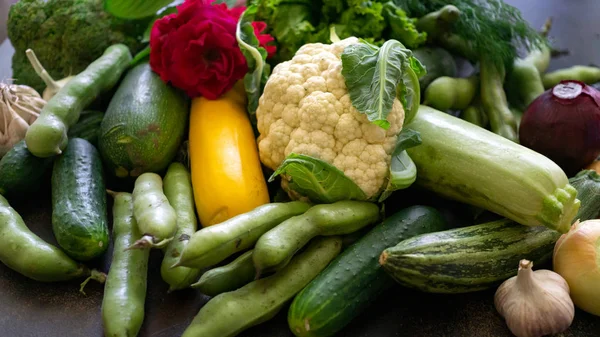 Las verduras frescas son calabacín, berenjena, pepinos, cebollas, coliflor, ajo y frijoles en la mesa . — Foto de Stock
