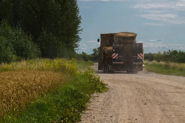 Великий трактор перевозить сухі рулони сіна вздовж сільської дороги . — стокове фото