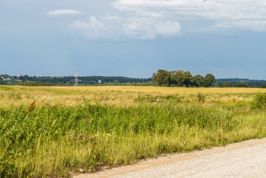 Sonsuz tahıl tarlaları. Taşra manzarası. Tarlaların ortasında ülke yolu.
