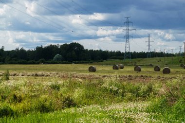 Sonsuz tahıl tarlaları. Yaz aylarında kırsal peyzaj.