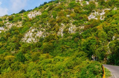 Karadağ'da Milli Park Durmitor dağlar ve ovalar güzel görünümü. Eylül 2018