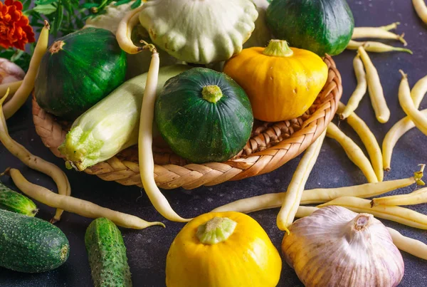 Verschiedene Gemüsesorten, kleine Patissons, zusammen mit anderem Gemüse, Blumenkohl, Brokkoli, Knoblauch, Gurken, die auf einem Öko-Bauernhof angebaut werden. — Stockfoto