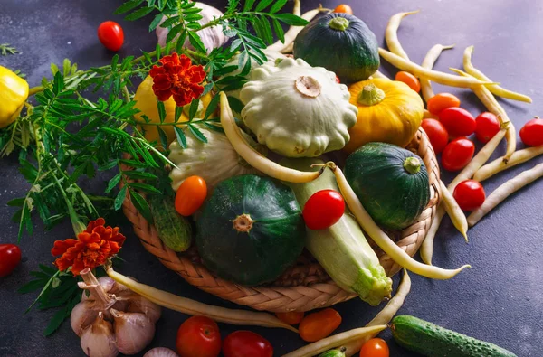 Diferentes verduras, pequeños pastos, junto con otras verduras, coliflor, brócoli, ajo, pepinos cultivados en una eco-granja . — Foto de Stock